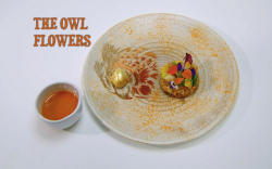 Hrishikesh’S Owl Flowers starter on the Great British Menu