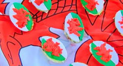 Carol Vorderman’s Welsh cacuits on The Great Celebrity Bake Off for SU2C