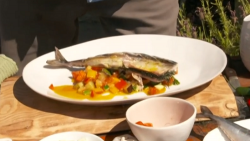 James Martin’s healthy ratatouille dish with BBQ fish on This Morning