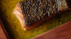 Salmon trout with a saffron and shiso infused sauce on Remarkable Places to Eat with Fred and Ra ...