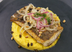 Riyadh Khalaf’s pan fried hake with fennel, pine nuts and celeriac mash on Celebrity Maste ...