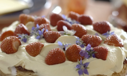 Scott’s Norwegian sponge cake with jam, cream and berries on Our Food, Our Family with Mic ...