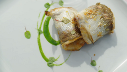 Catarina’s fish rolls with herbs and parsley juice and olive oil on A Taste of Italy with  ...